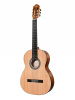 Гитара классическая TESORO TS3940